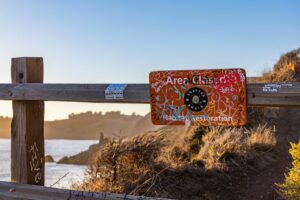 Photo by Robert So on Pexels